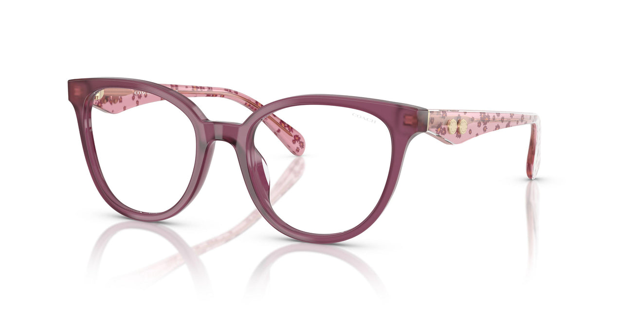 5954SB - Violet - Clear Blue Light