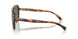 616171 - Tortoise - Solid Green