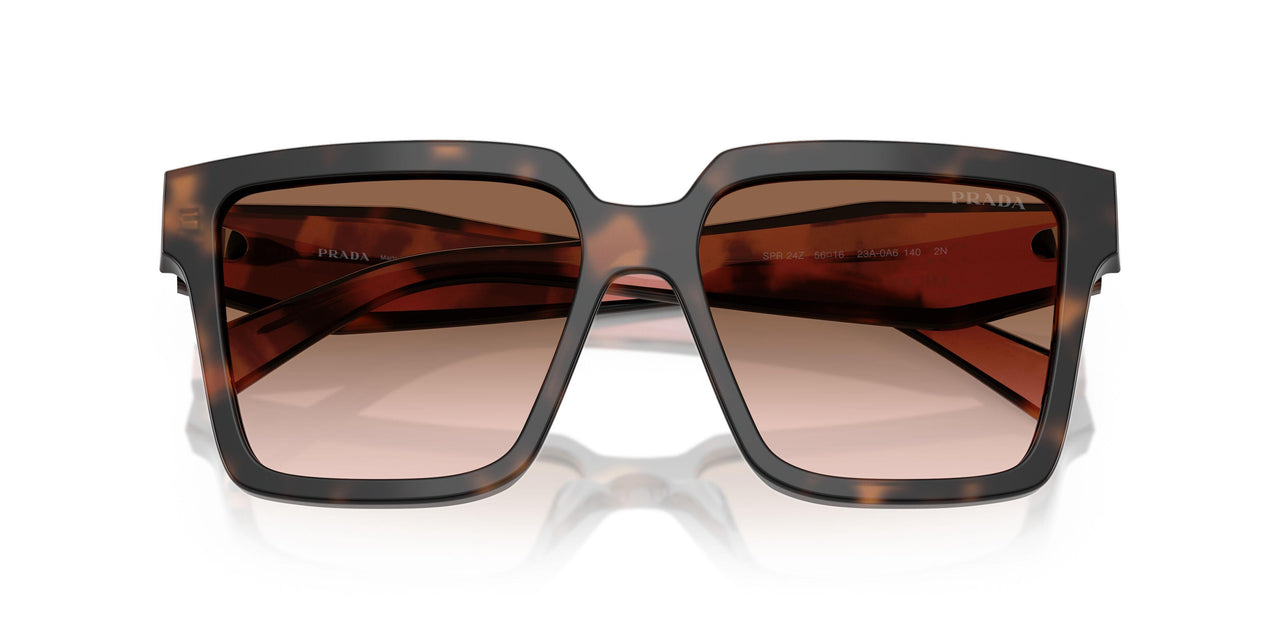 23A0A6 - Tortoise - Brown Gradient