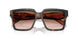 23A0A6 - Tortoise - Brown Gradient