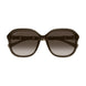 003 - Brown - Brown