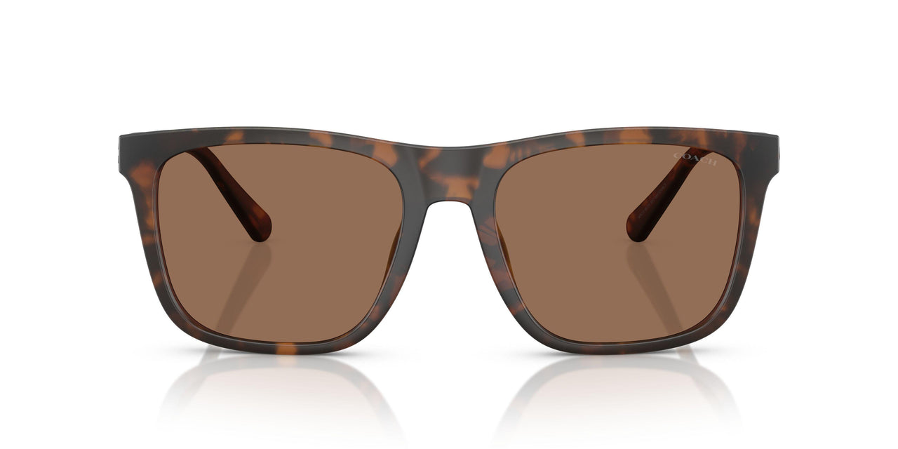 512073 - Tortoise - Brown Solid