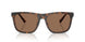 512073 - Tortoise - Brown Solid