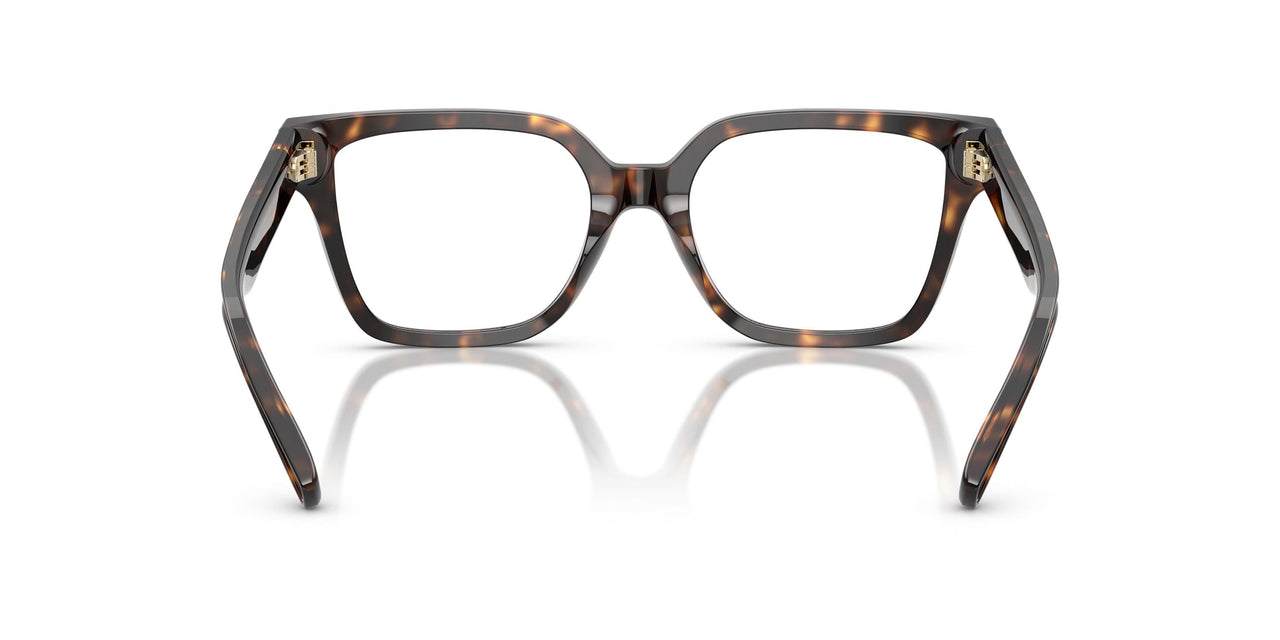 1964 - Tortoise