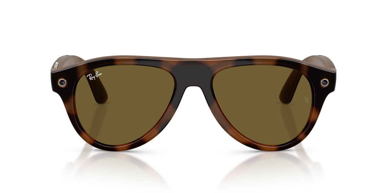 690573 - Tortoise - Dark Brown