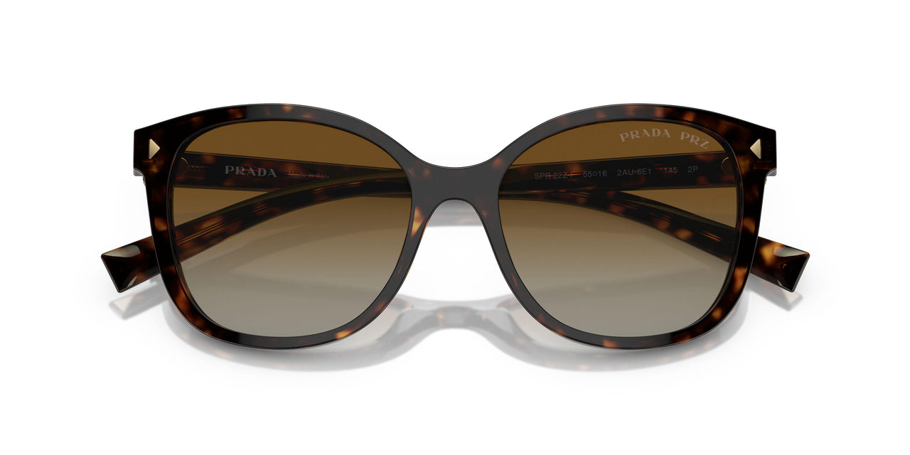 2AU6E1 - Tortoise - Polar Brown Gradient