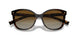 2AU6E1 - Tortoise - Polar Brown Gradient