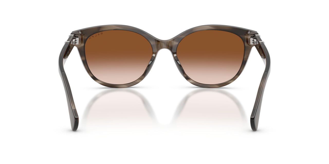 638313 - Grey - Gradient Brown