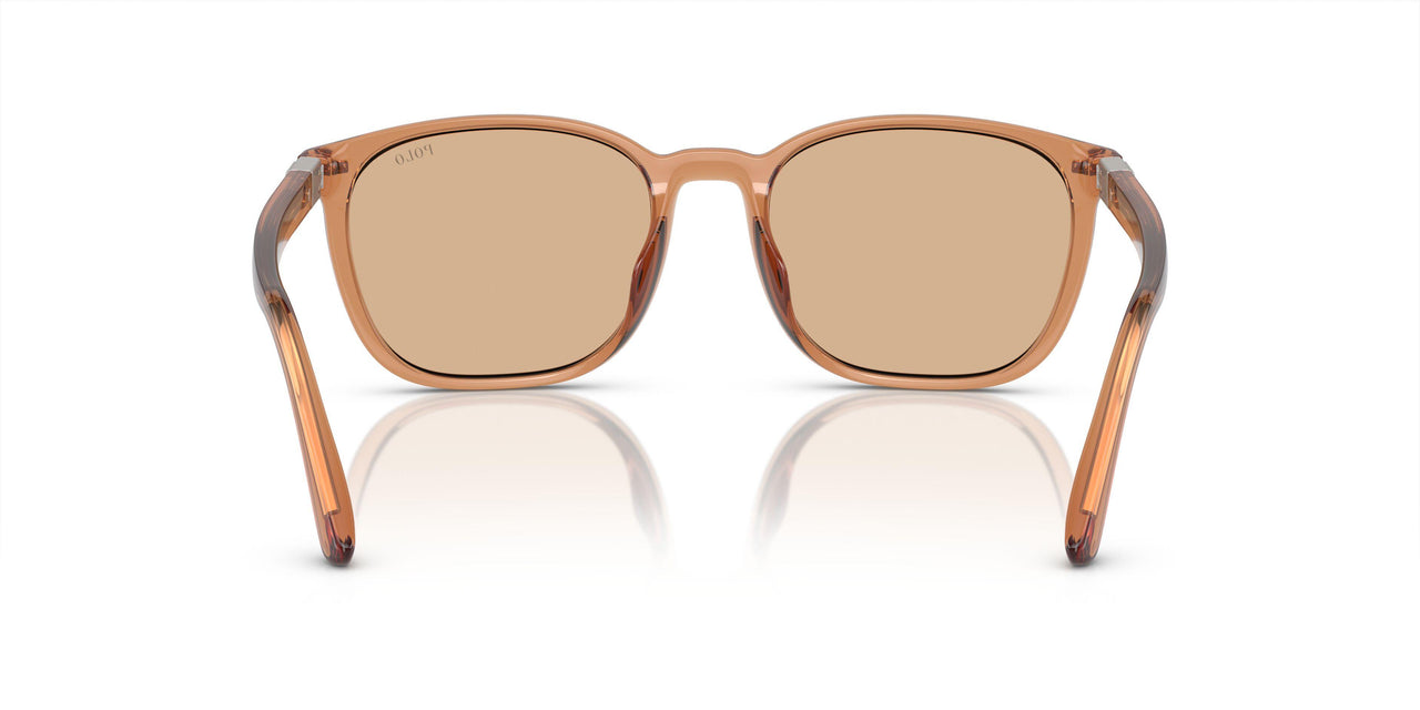 604873 - Brown - Light Brown