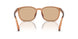 604873 - Brown - Light Brown
