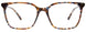 10 - Brown & Blue