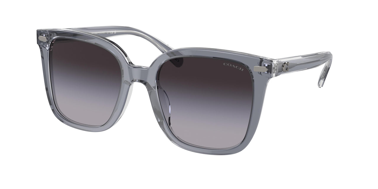 Coach Cl919 8381F Sunglasses