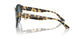 500419 - Tortoise - Gradient Blue