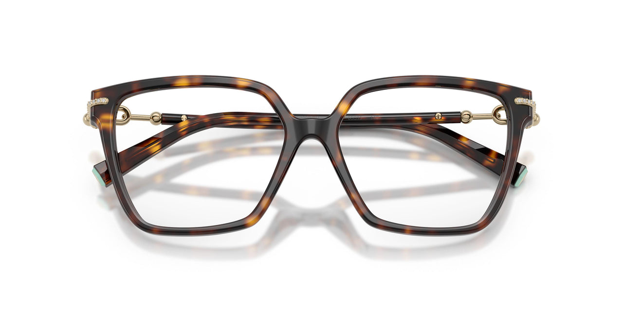 8015 - Tortoise