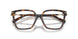 8015 - Tortoise
