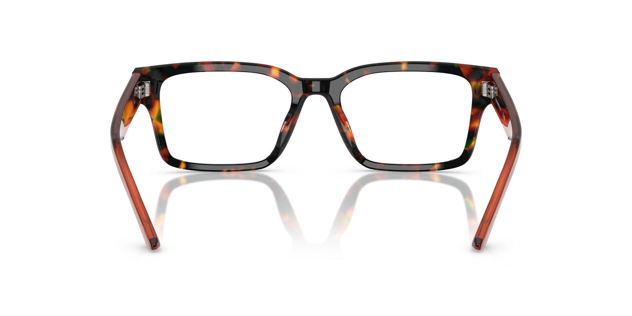 6182 - Tortoise