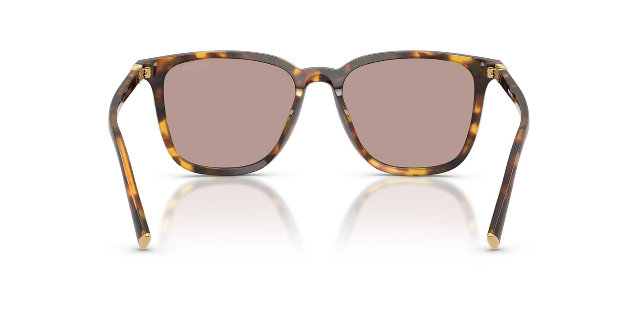 14L20I - Tortoise - Light Purple Brown