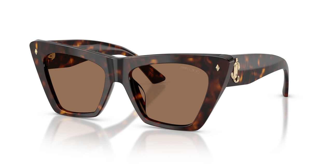 500273 - Tortoise - Dark Brown