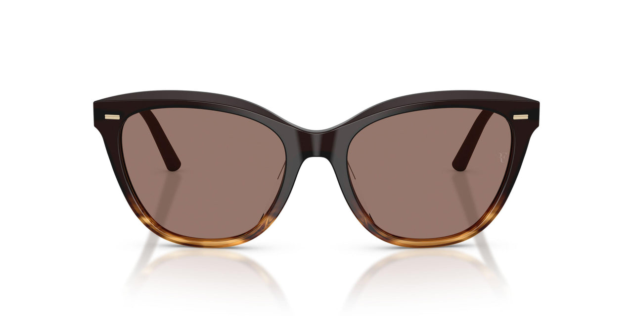 139253 - Brown - Sierra