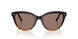 139253 - Brown - Sierra