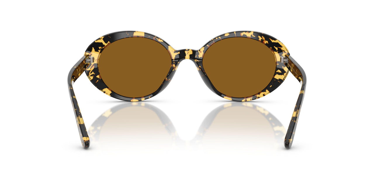 177853 - Tortoise - True Brown