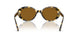177853 - Tortoise - True Brown