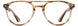 American Optical TUCKER Eyeglasses