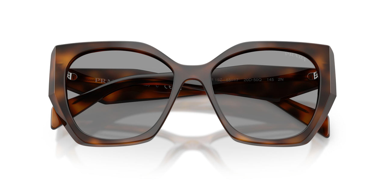 20D50Q - Havana - Grey