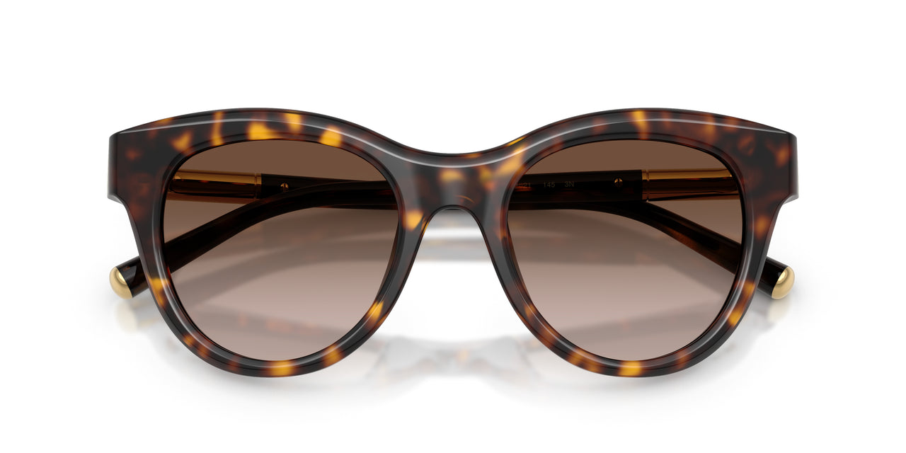 502/13 - Tortoise - Gradient Brown