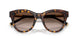 502/13 - Tortoise - Gradient Brown