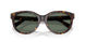 80153H - Tortoise - Dark Green