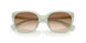 627813 - Green - Light Brown Gradient