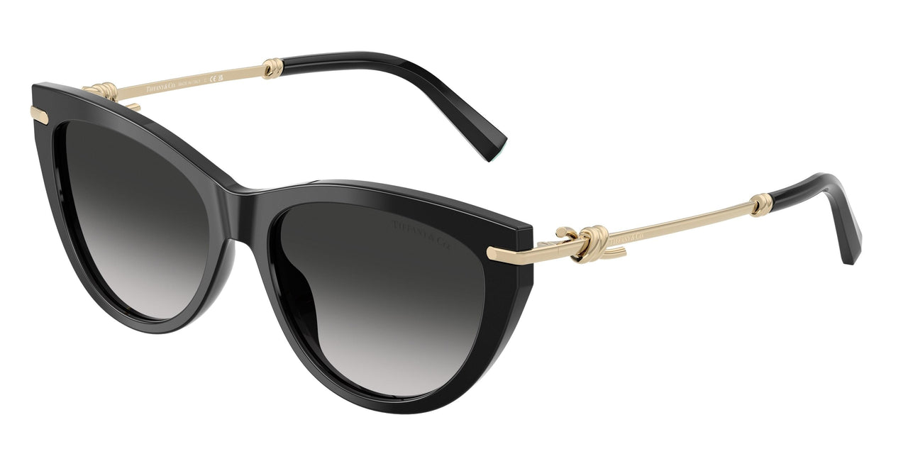 Tiffany 4253 Sunglasses
