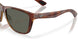 912406 - Tortoise - Gray