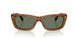 22I70L - Brown - Dark Green