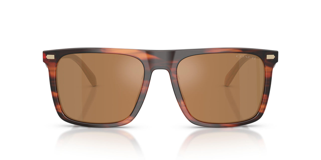 5906/O - Brown - Brown Flash