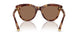 346273 - Tortoise - Dark Brown