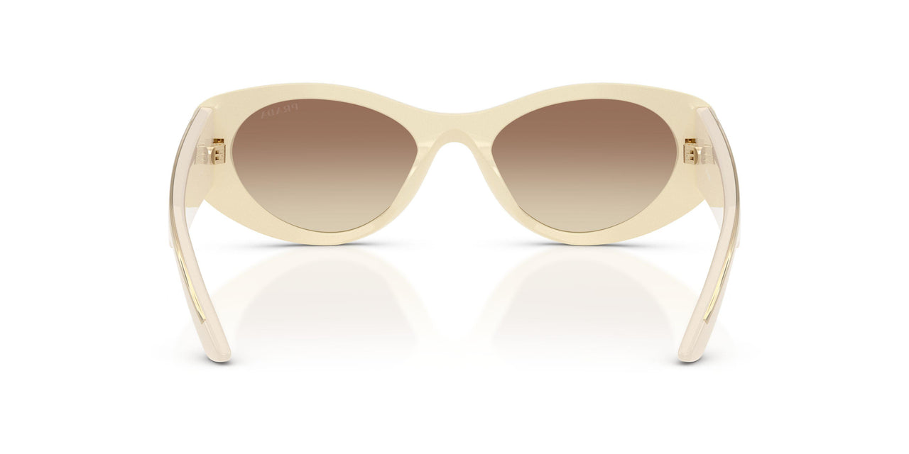 21D61B - White - Brown Gradient
