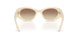 21D61B - White - Brown Gradient