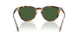 633971 - Tortoise - Bottle Green
