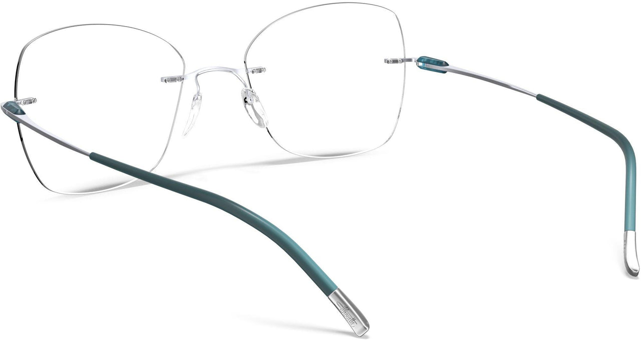 7110 - silver