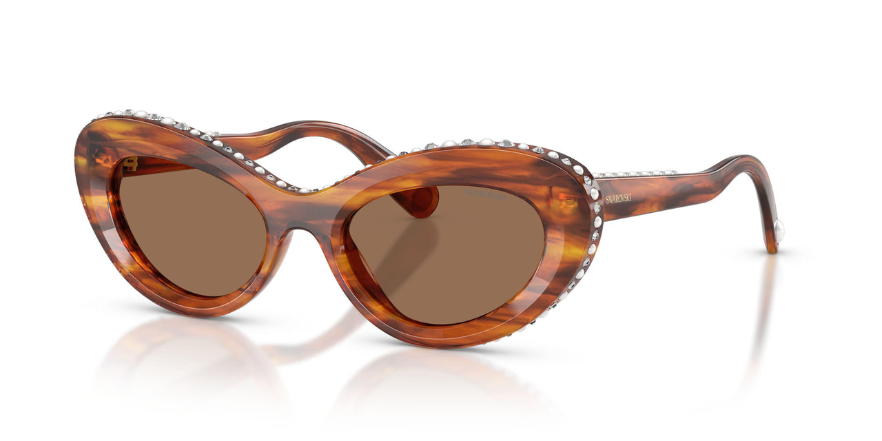 109173 - Brown - Dark Brown
