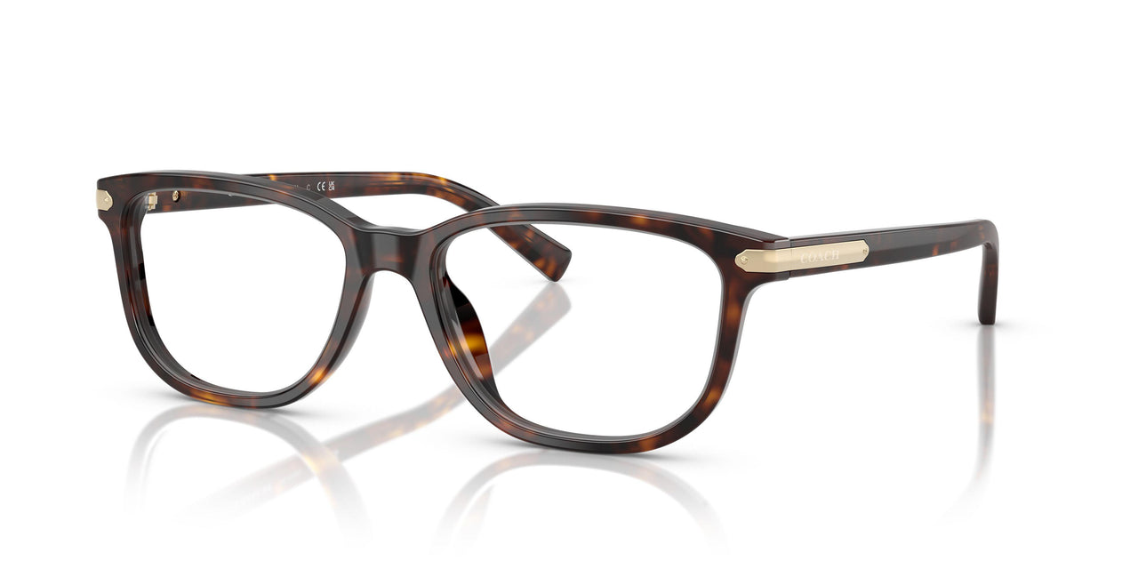 5893 - Tortoise