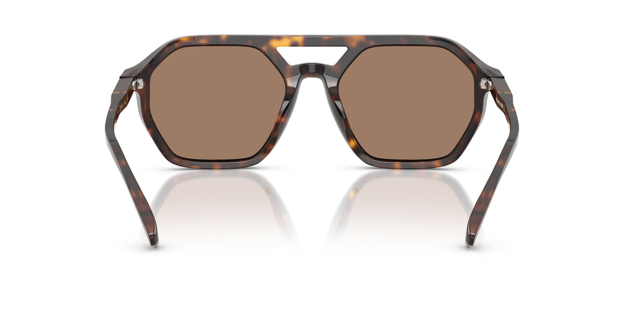 300673 - Tortoise - Brown Solid