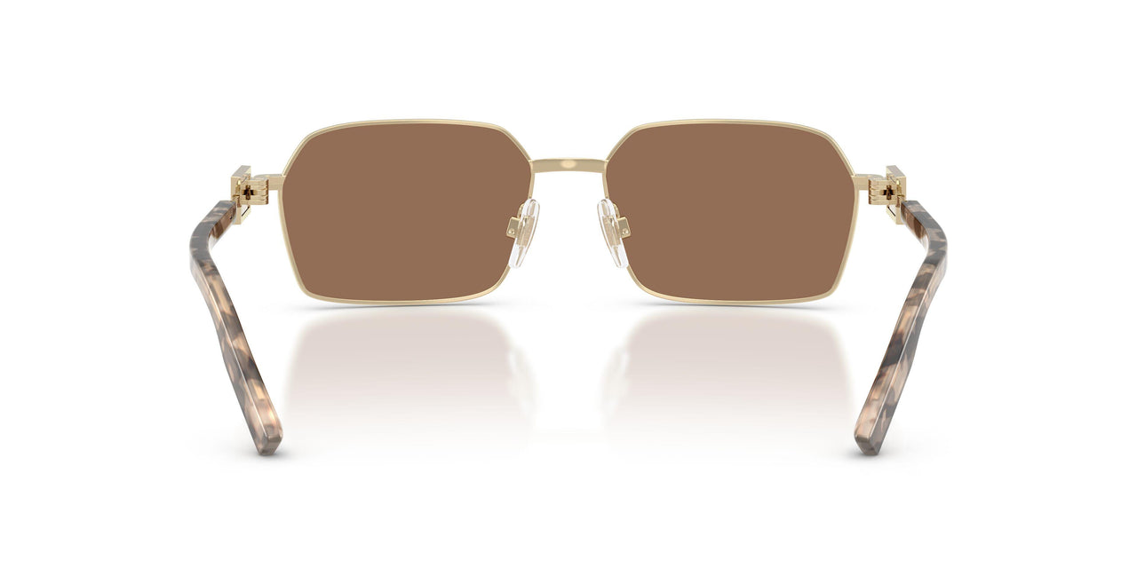 488/73 - Gold - Dark Brown