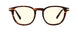 02309 - Tortoise - Clear