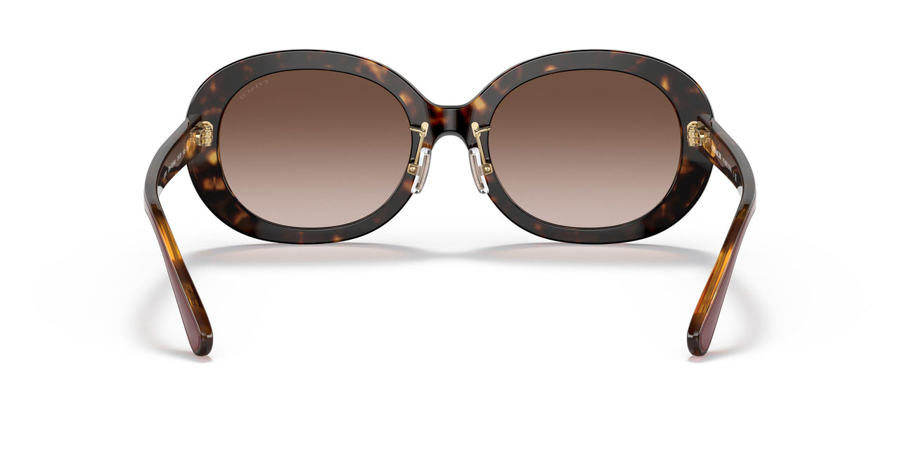 512013 - Havana - Brown Gradient