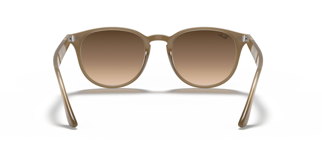 616613 - Light Brown - Brown Gradient
