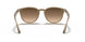 616613 - Light Brown - Brown Gradient