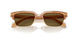 630073 - Tortoise - Dark Brown